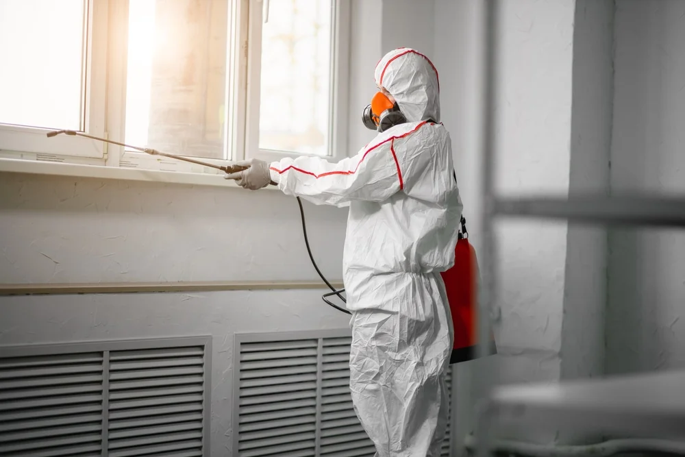 Professional mold remediation services in Sparks, GA